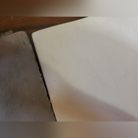 Eminent Musicians, 1924 Advertisement Booklet From Wm. Knabe & Co. - Picture 5 of 12